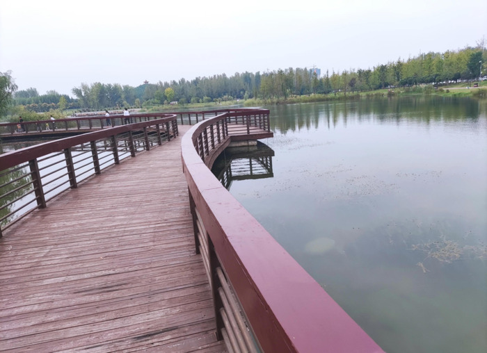 国庆随笔200字【国庆随笔800字高中】