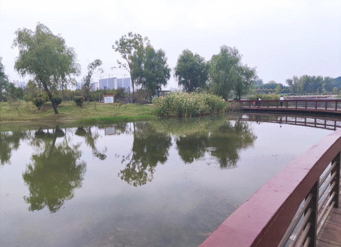 国庆随笔200字【国庆随笔800字高中】