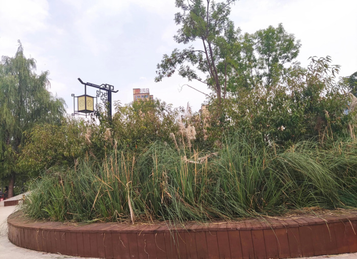 国庆随笔200字【国庆随笔800字高中】