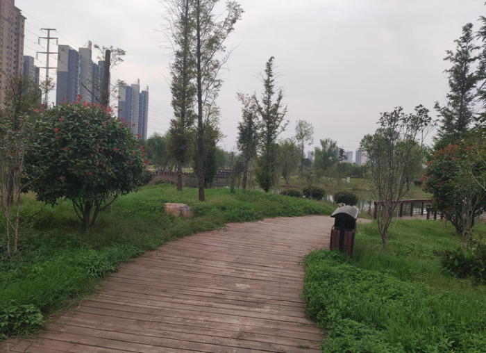 国庆随笔200字【国庆随笔800字高中】