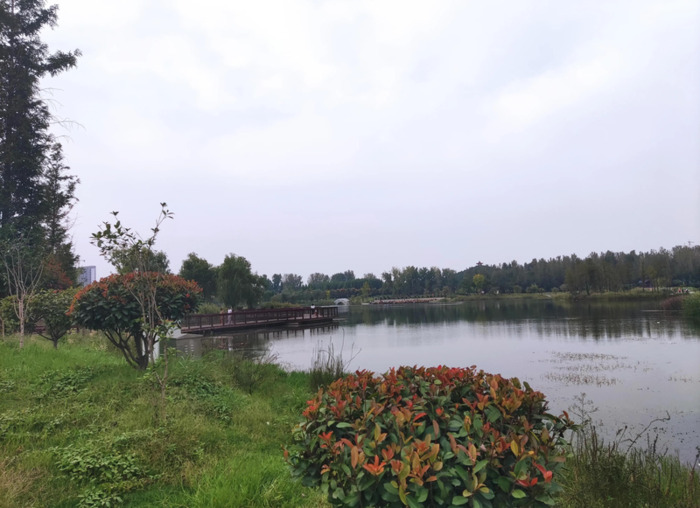 国庆随笔200字【国庆随笔800字高中】