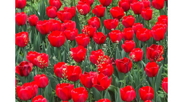 非诚勿扰台词截图【非诚勿扰电影经典台词视频】