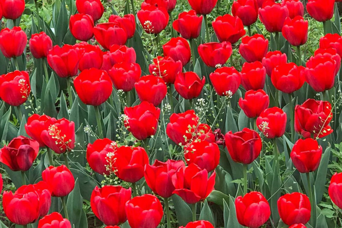 非诚勿扰台词截图【非诚勿扰电影经典台词视频】