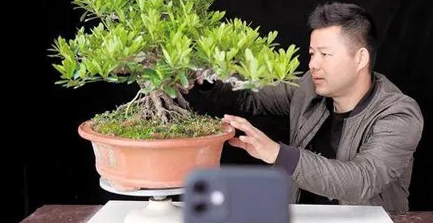 想找一份在家做的手工活【有没有可以在家做手工的工作】