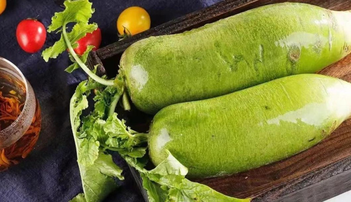 天津哪里能买到正宗的沙窝萝卜【天津沙窝萝卜去哪里买】