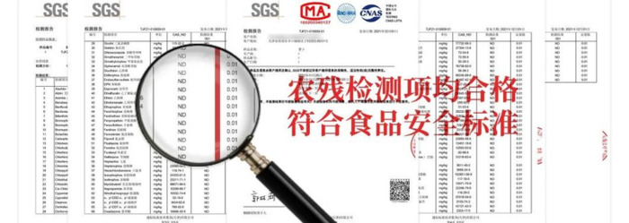 天津哪里能买到正宗的沙窝萝卜【天津沙窝萝卜去哪里买】