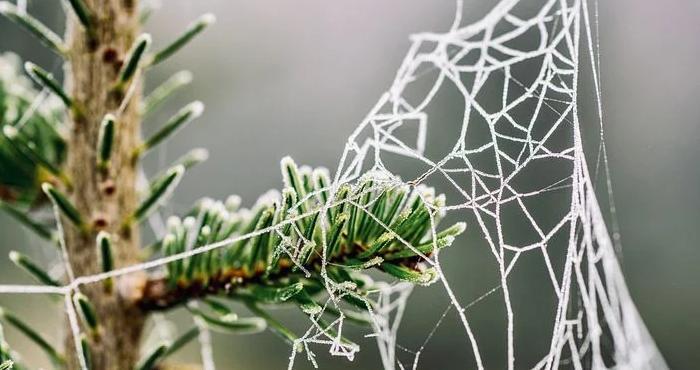 2021年射手座下半年挫折【2021年射手座可能迎来3大】