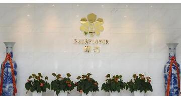 蜂花公司口号【蜂花公司怎么样】