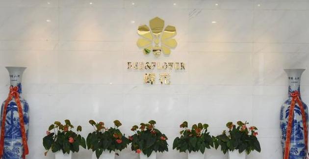 蜂花公司口号【蜂花公司怎么样】