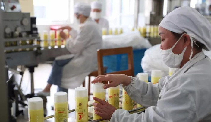 蜂花公司口号【蜂花公司怎么样】