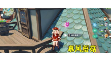 慕风蘑菇在哪里采集【慕风蘑菇哪里有】