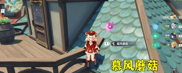 慕风蘑菇在哪里采集【慕风蘑菇哪里有】