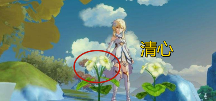 慕风蘑菇在哪里采集【慕风蘑菇哪里有】