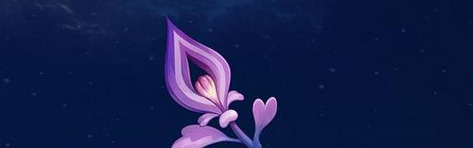 慕风蘑菇在哪里采集【慕风蘑菇哪里有】