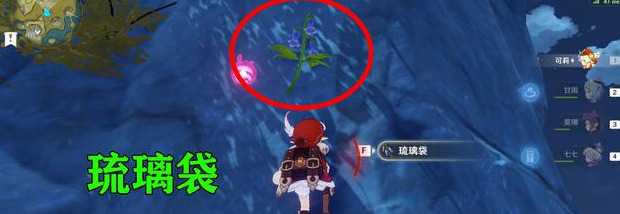 慕风蘑菇在哪里采集【慕风蘑菇哪里有】