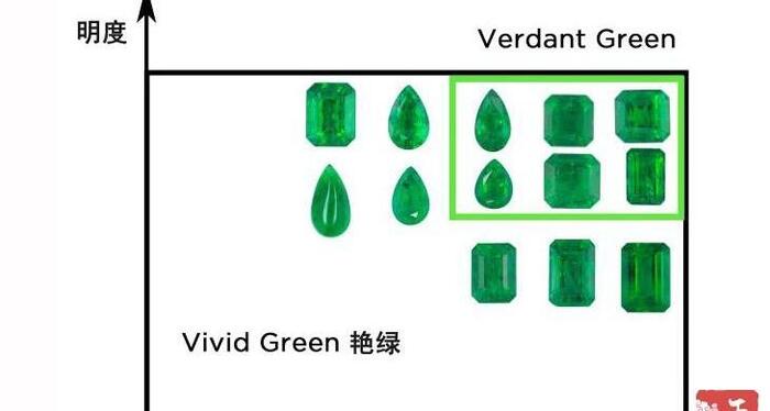 祖母绿颜色等级对照图 vivid【祖母绿颜色等级对照图 沃顿绿】