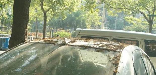 98油价调整最新消息3月3日【油价调整最新消息2022】