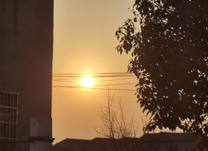 这天我回家晚了七年级优秀作文【这天我回家晚了七年级提纲】