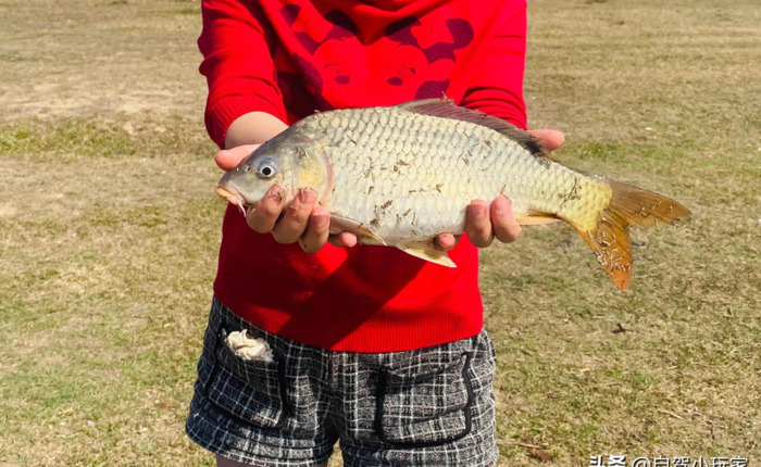 一晚上怎么玩不亏【如何不花钱过夜】