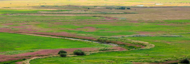 一个人去呼伦贝尔安全吗【现在去呼伦贝尔大草原安全吗】