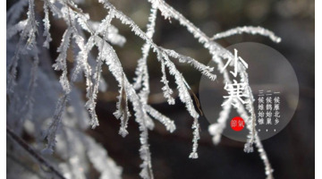 济南拖车到哈尔滨多少钱【广州到济南拖车】