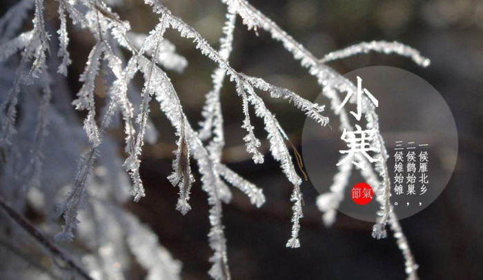 济南拖车到哈尔滨多少钱【广州到济南拖车】