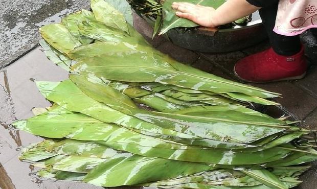 四川泸州黄粑图片【四川小黄粑图片】