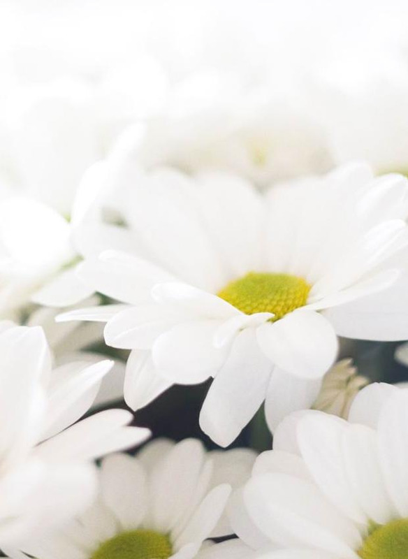 12星座谁会守护双鱼【双鱼座被谁守护】