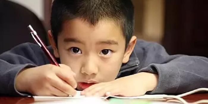 夸女孩子的第一印象评价【夸女孩子的第一印象的小作文】