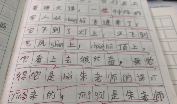 夸女孩子的第一印象评价【夸女孩子的第一印象的小作文】