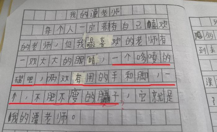 夸女孩子的第一印象评价【夸女孩子的第一印象的小作文】