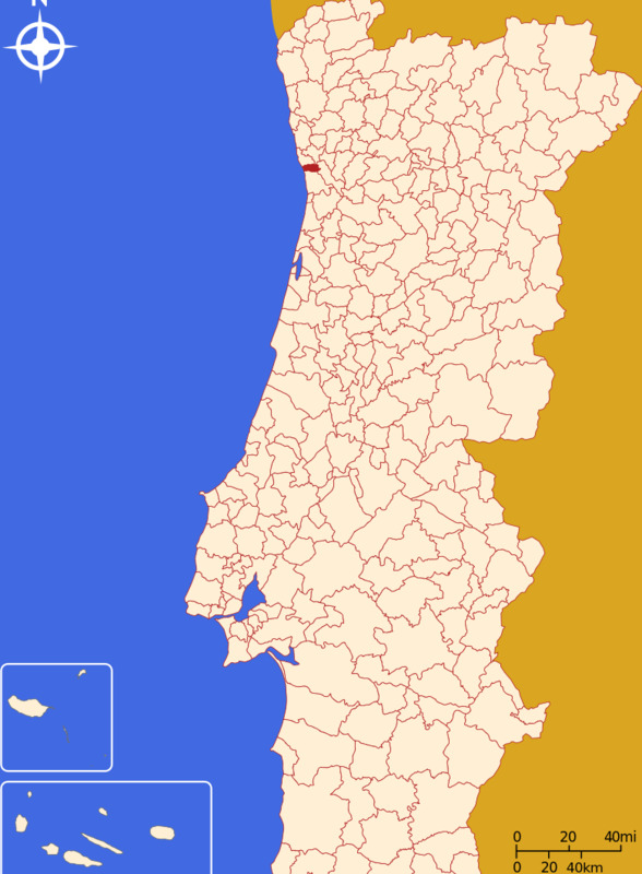 瑜亮情结是什么意思【瑜亮图片】