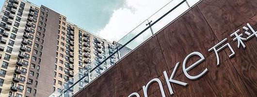 万科地产王石说房子【万科王石捐款门事件】