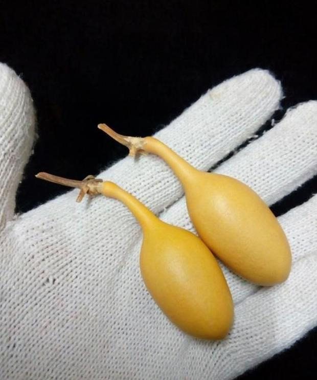 葫芦怎么盘变色快【文玩葫芦的正确盘玩方法】