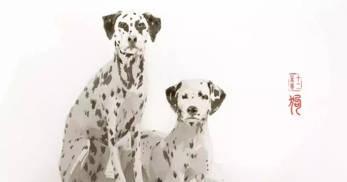 十二生肖配对姻缘合婚,牛和虎配【十二生肖配对姻缘合婚表】