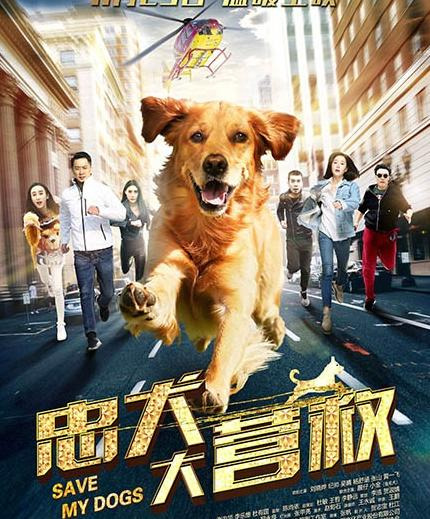 嘉亿广告有限公司【中亿嘉讯传媒有限公司】