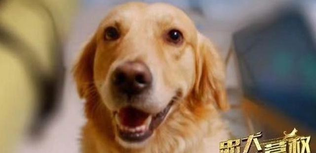 嘉亿广告有限公司【中亿嘉讯传媒有限公司】