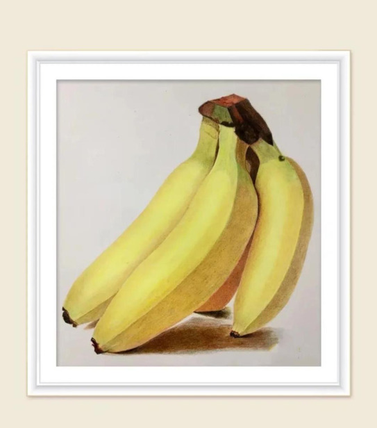 画画的感悟100字【画画观后感100字】