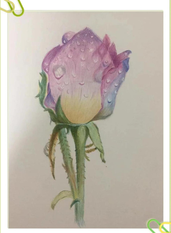 画画的感悟100字【画画观后感100字】