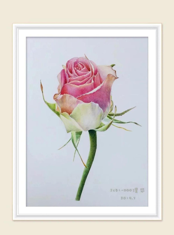 画画的感悟100字【画画观后感100字】