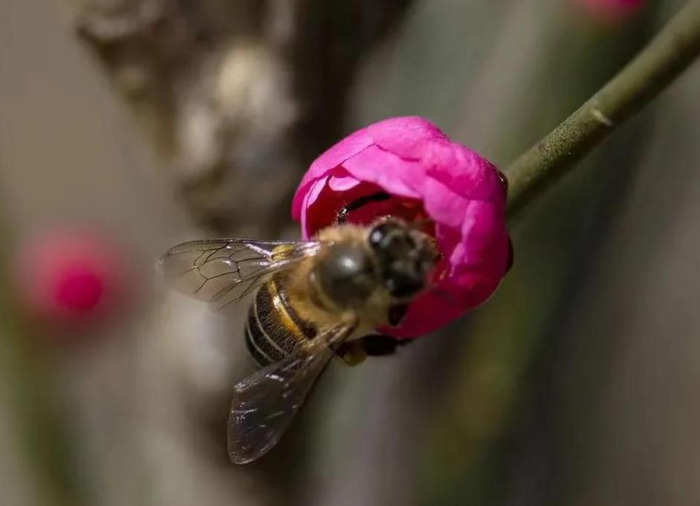 高二物理不好怎么补【高一物理较差怎么补】