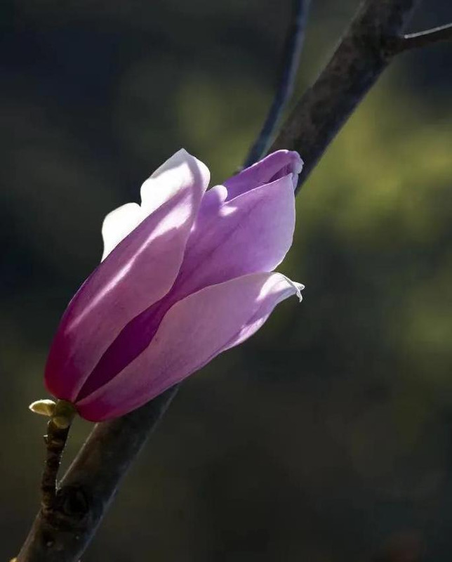 高二物理不好怎么补【高一物理较差怎么补】