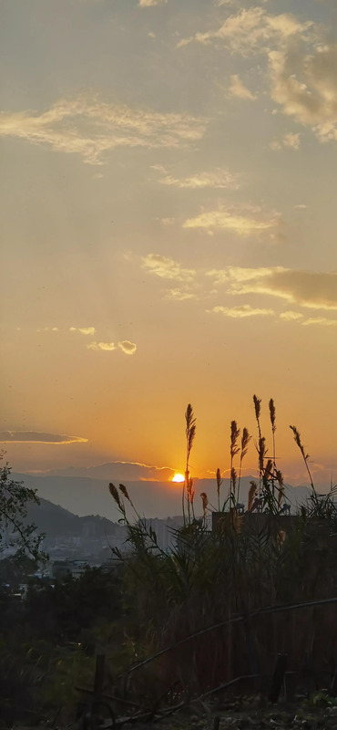 高二物理不好怎么补【高一物理较差怎么补】