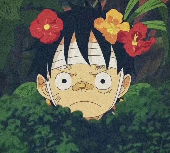 公众号引流推广文案