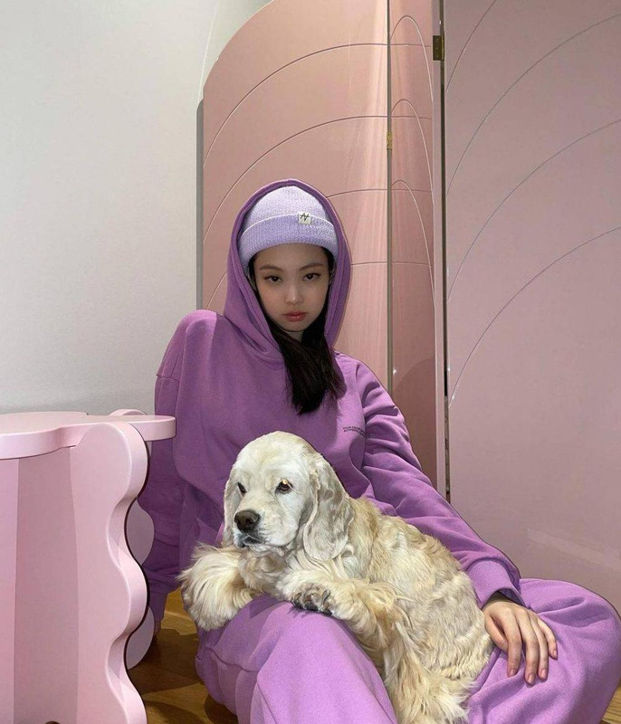 韩国服装知名品牌标志大全【韩国服装品牌标志大全图解】