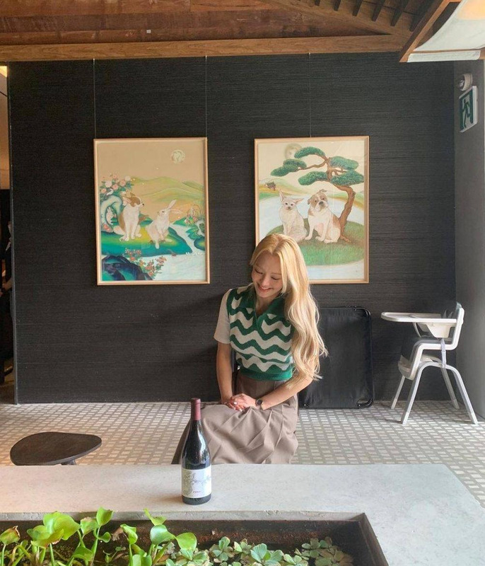 韩国服装知名品牌标志大全【韩国服装品牌标志大全图解】