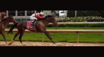 马几把有多大图片【马几把叫什么】