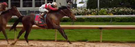 马几把有多大图片【马几把叫什么】