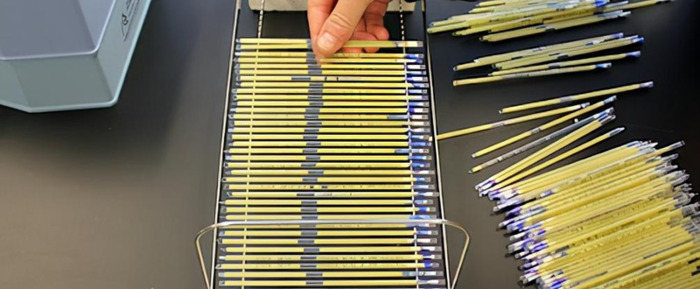 马几把有多大图片【马几把叫什么】