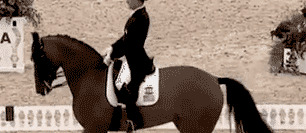 马几把有多大图片【马几把叫什么】